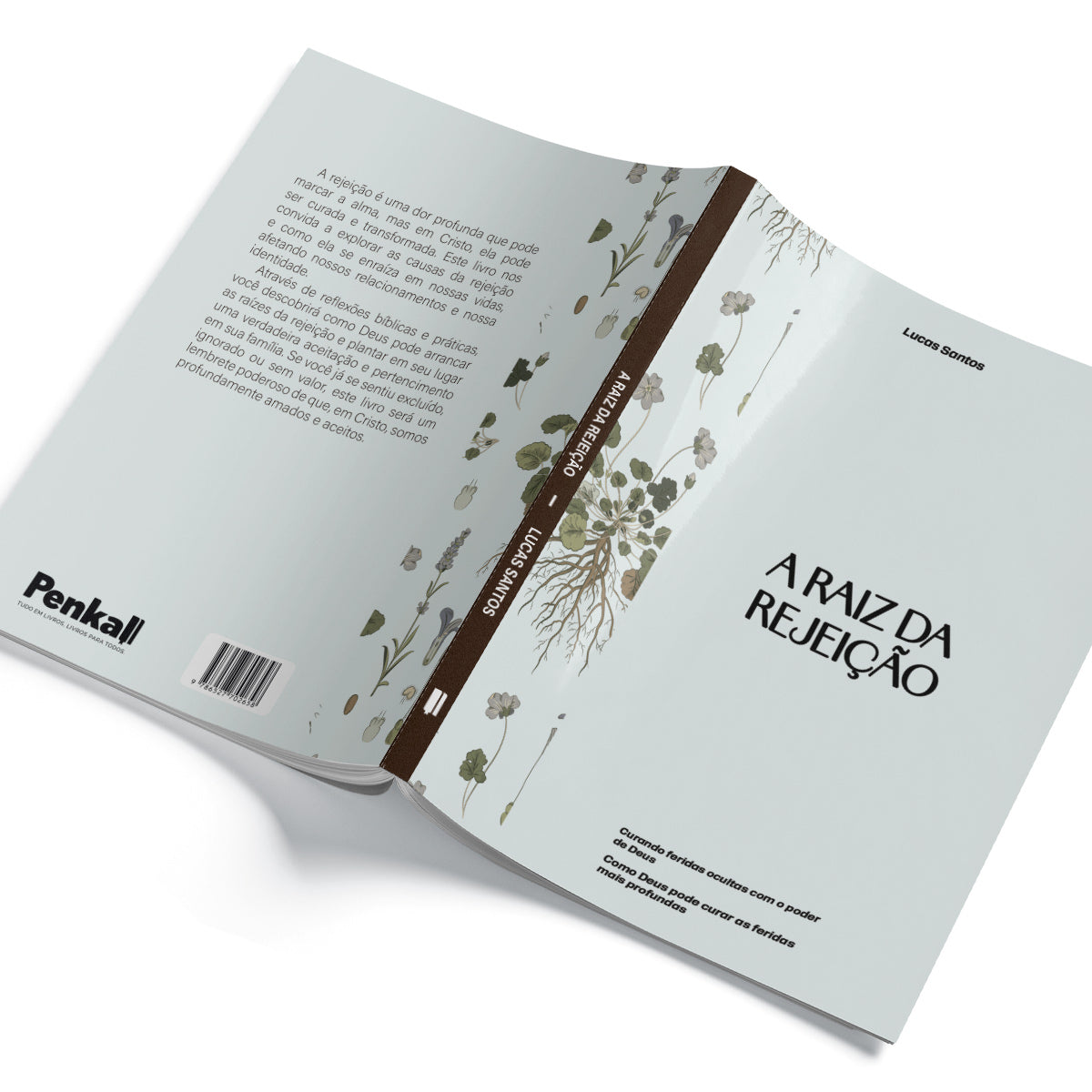 A Raiz da Rejeição: Curando ferida ocultas com o poder Deus | Lucas Santos