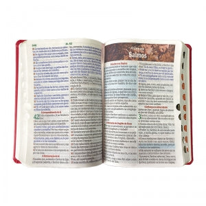 BIblia Hipergigante ARC Full Color c/ Harpa PU Luxo com Índice - Prateada Floral Dália Vermelha