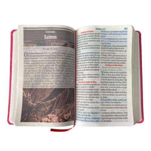 Bíblia Jumbo |ARC | FULL COLOR - Harpa e Corinhos | CAPA PU LUXO | Floral Pink