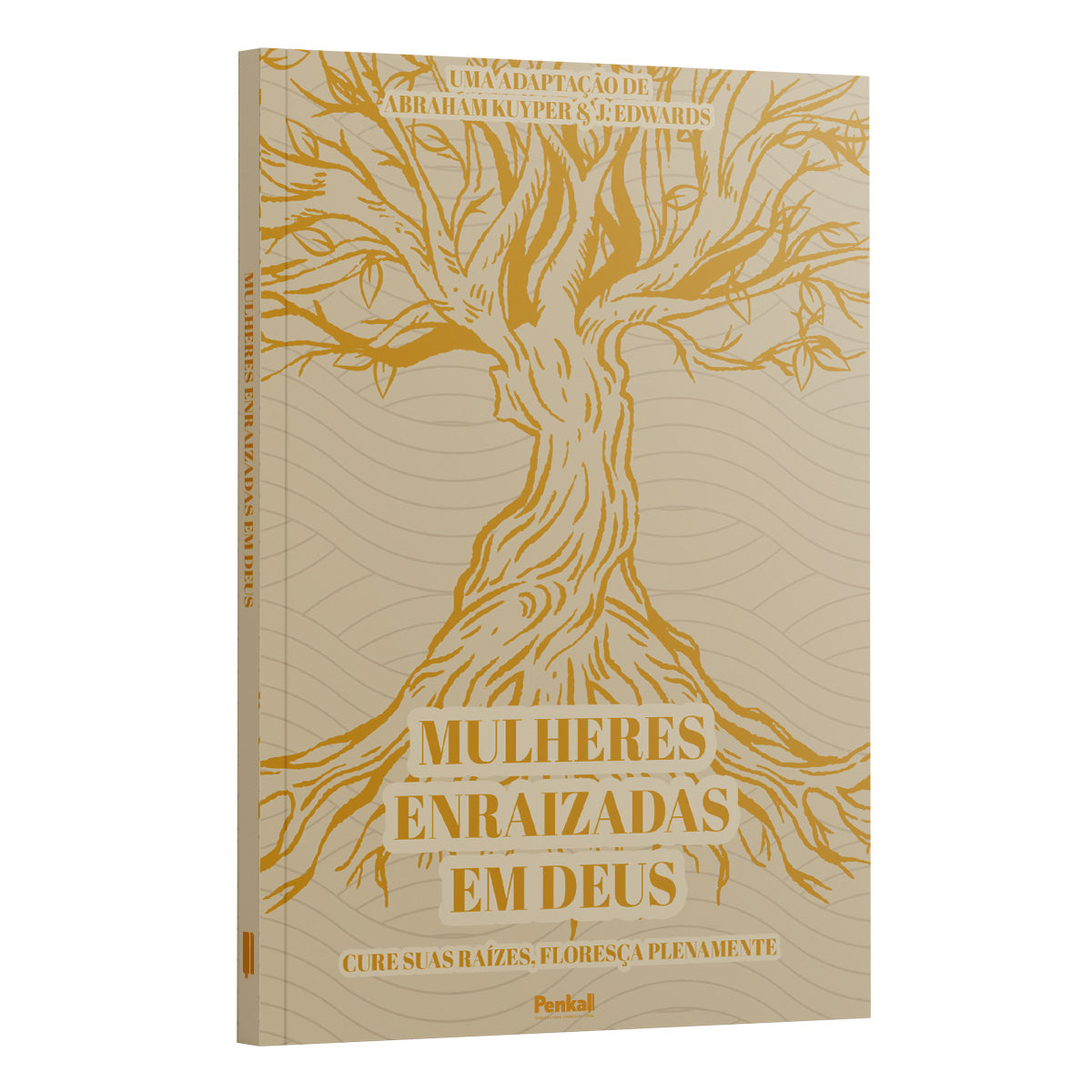 Kit 2 Livros - Conexão Espiritual Com Deus - Espiritualidade Off-line + Mulheres Enraizadas