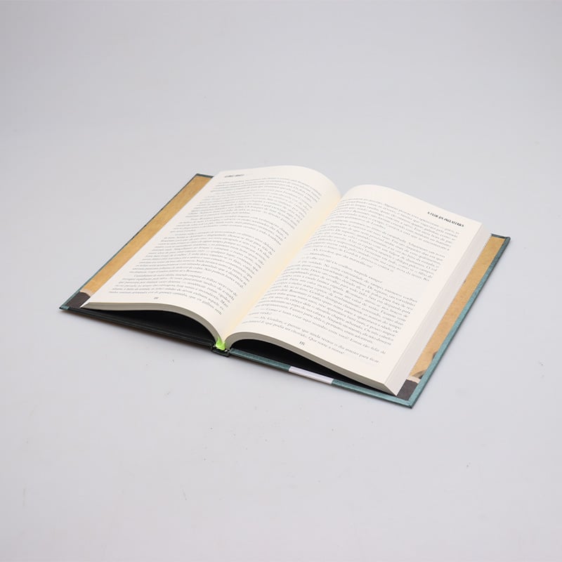 A Flor da Inglaterra - Bela Edição com Capa Dura e Texto Integral [Hardcover] George Orwell