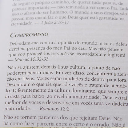A Mensagem | O Livro da Promessa | Eugene H. Peterson