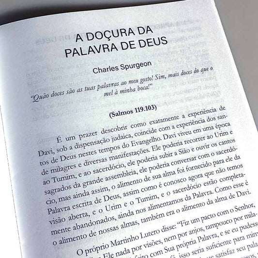 Abas adesivas para Bíblia | Lilás Borboleta