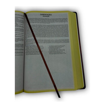 Bíblia De Estudo King James | KJA 1611 | PPM | Full Color | Capa Dura | Couro Marrom
