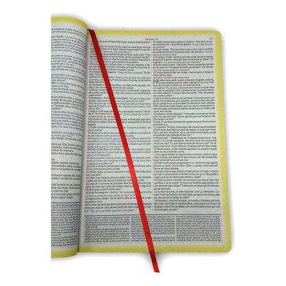 Bíblia De Estudo King James | KJA 1611 | PPM | Full Color | Capa Dura | Couro Bordô