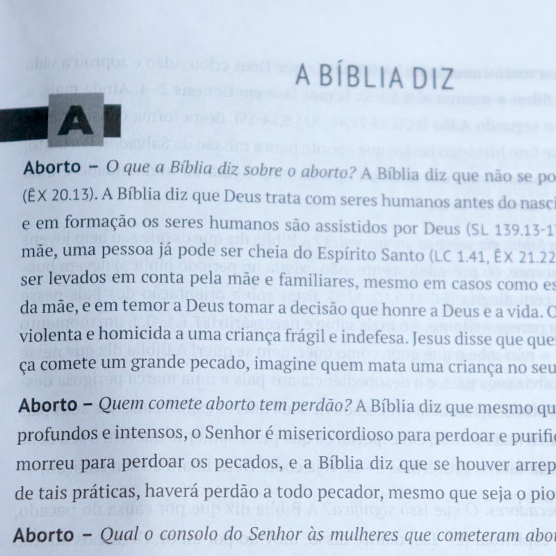 Bíblia de Estudo Diz NVI, capa Giz - imagem 2