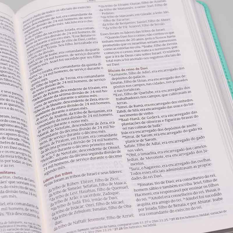 Bíblia de Estudo | NVT | Letra Normal | Capa Sintética | Na Jornada com Cristo | Verde