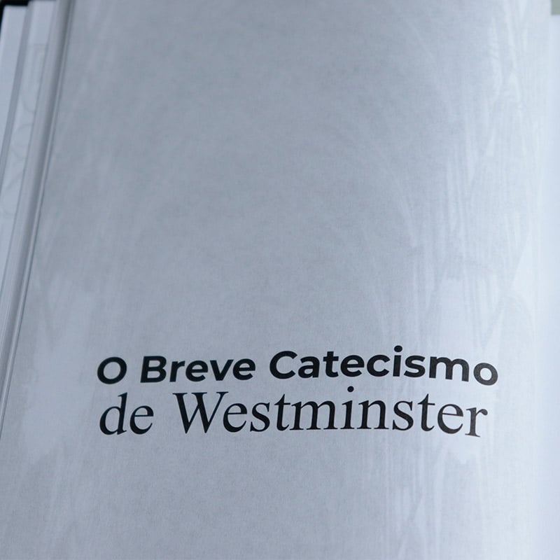 Bíblia de Estudo | Símbolos de Fé Westminster | NVI | Capa Dura Retrô
