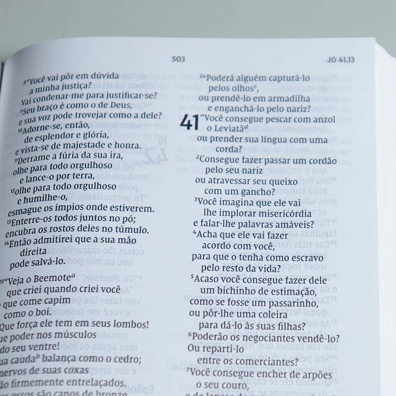 Bíblia de Estudo | Símbolos de Fé Westminster | NVI | Capa Dura Retrô