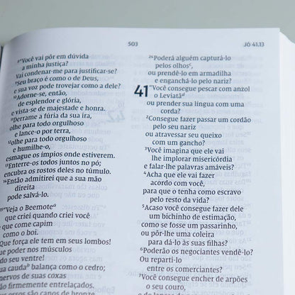 Bíblia de Estudo | Símbolos de Fé Westminster | NVI | Capa Dura Retrô