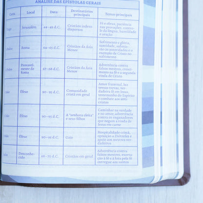 Bíblia do Pregador | FULL COLOR | PU Nobre Luxo | VINHO