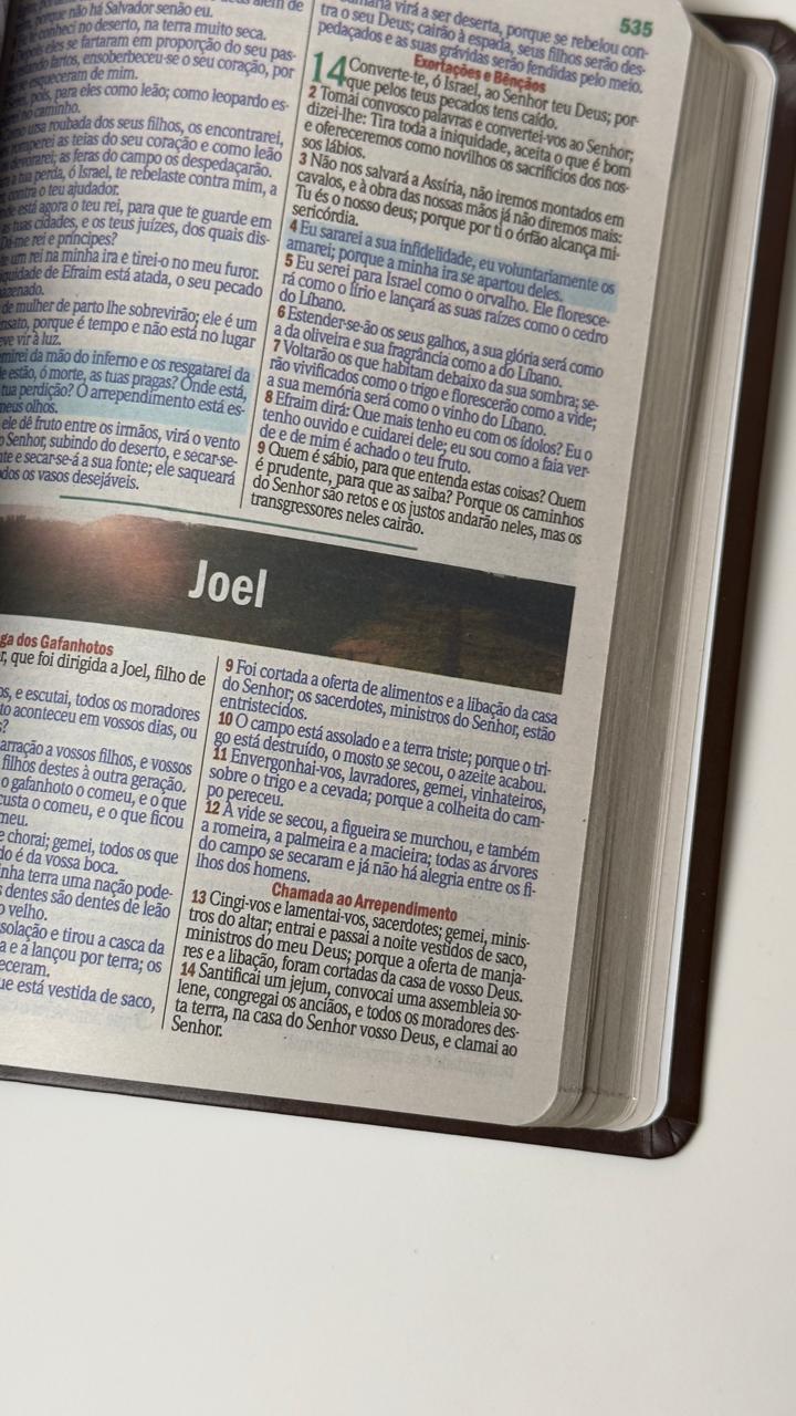 BIblia Hipergigante ARC Full Color c/ Harpa PU Luxo com Índice - Dourada Cruz Azul