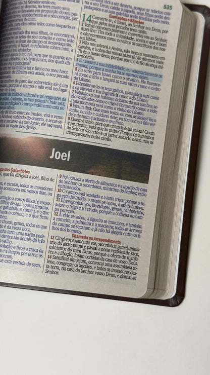 BIblia Hipergigante ARC Full Color c/ Harpa PU Luxo com Índice - Dourada Cruz Azul