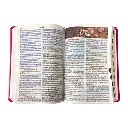 BIblia Hipergigante ARC Full Color c/ Harpa PU Luxo com Índice - Prateada Dália Pink