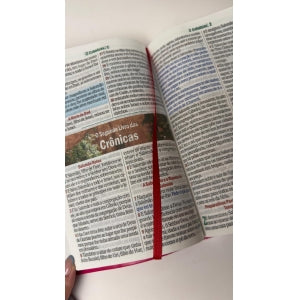 BIblia Hipergigante ARC Full Color c/ Harpa PU Luxo com Índice - Prateada Floral Margarida Pink