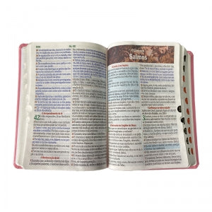 BIblia Hipergigante ARC Full Color c/ Harpa PU Luxo com Índice - Prateada Floral Margarida Rosa