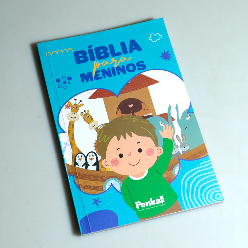 Bíblia Infantil do Menino