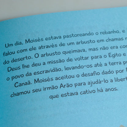Bíblia Infantil do Menino