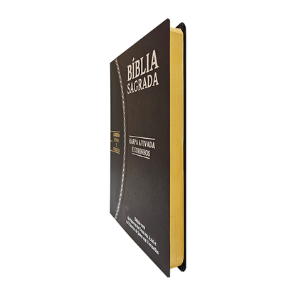 Bíblia Sagrada Slim | RC | Letra Grande | Harpa Avivada e Corinhos | Marrom e Preto