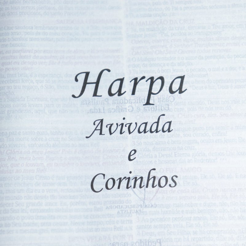 Bíblia Sagrada Slim | RC | Letra Grande | Harpa Avivada e Corinhos | Preto e Bordô