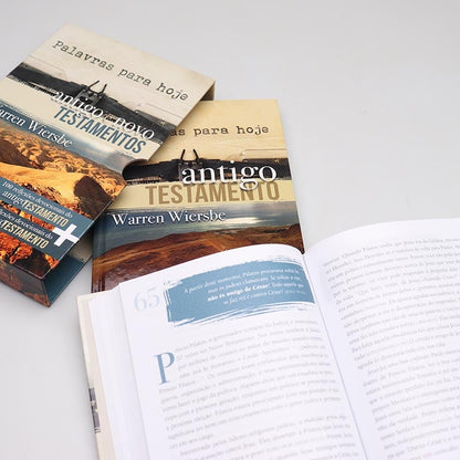 Box 2 Livros | Palavras para Hoje | Antigo e Novo Testamento | Warren Wiersbe
