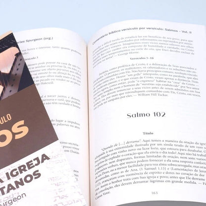 Box Salmos | Comentário Bíblico | Volume 1 e 2 | Brochura | Charles Spurgeon