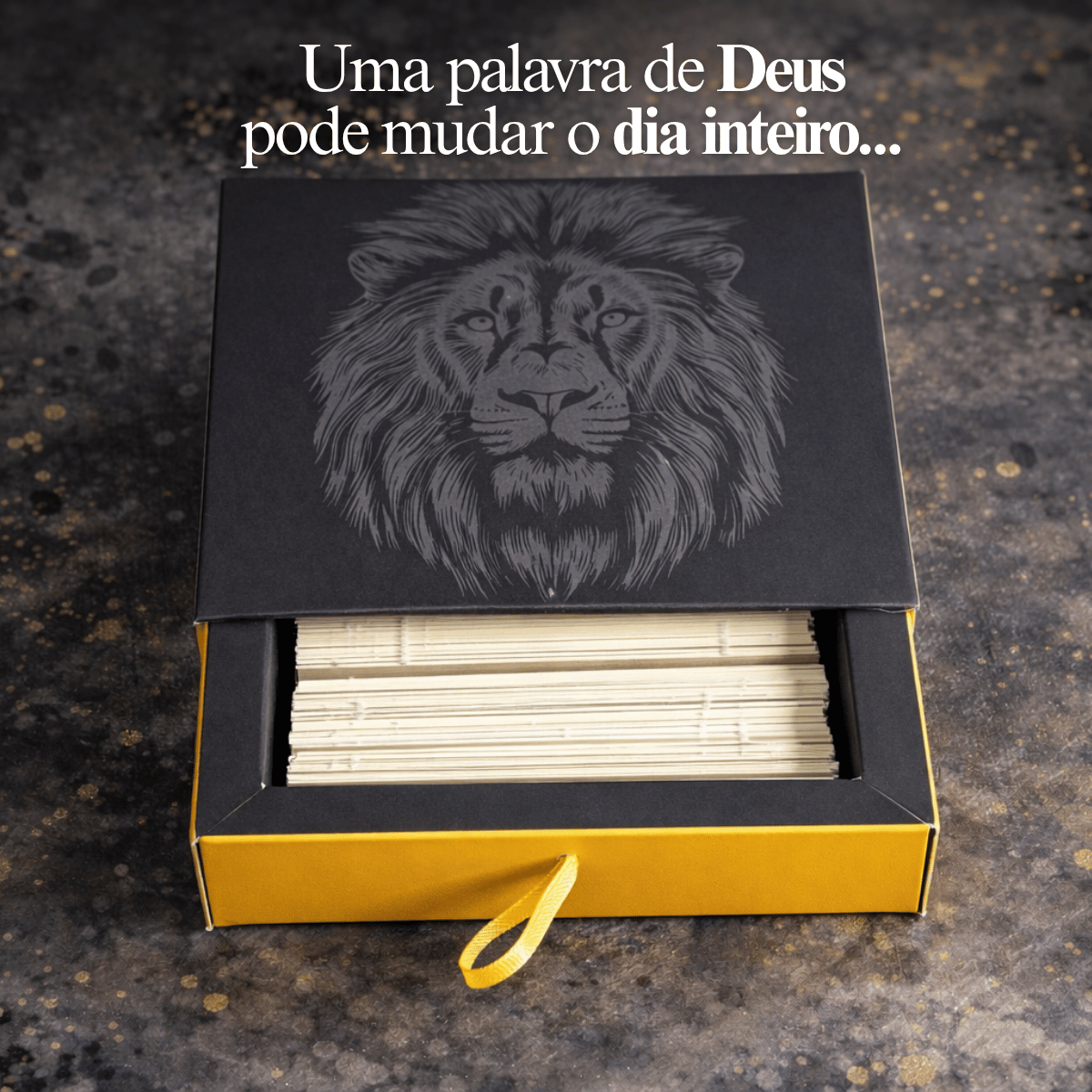 Caixinha de promessas - Leão de Judá