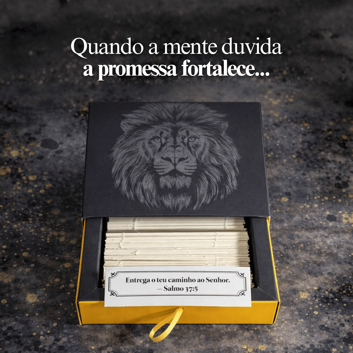 Caixinha de promessas - Leão de Judá