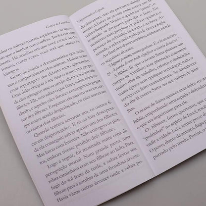 Campo De Lentilhas | Jorge Linhares