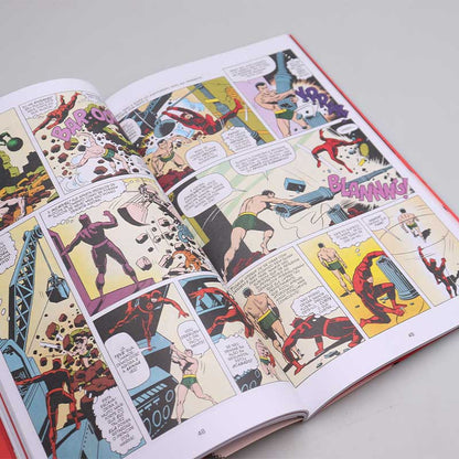 Coleção Clássica Marvel | Vol. 17 - Demolidor | Vol. 02 | Panini