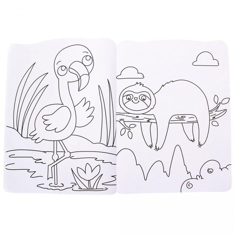 Colorindo Meu Mundo | Bicho-Preguiça e Seus Amigos | Brasileitura