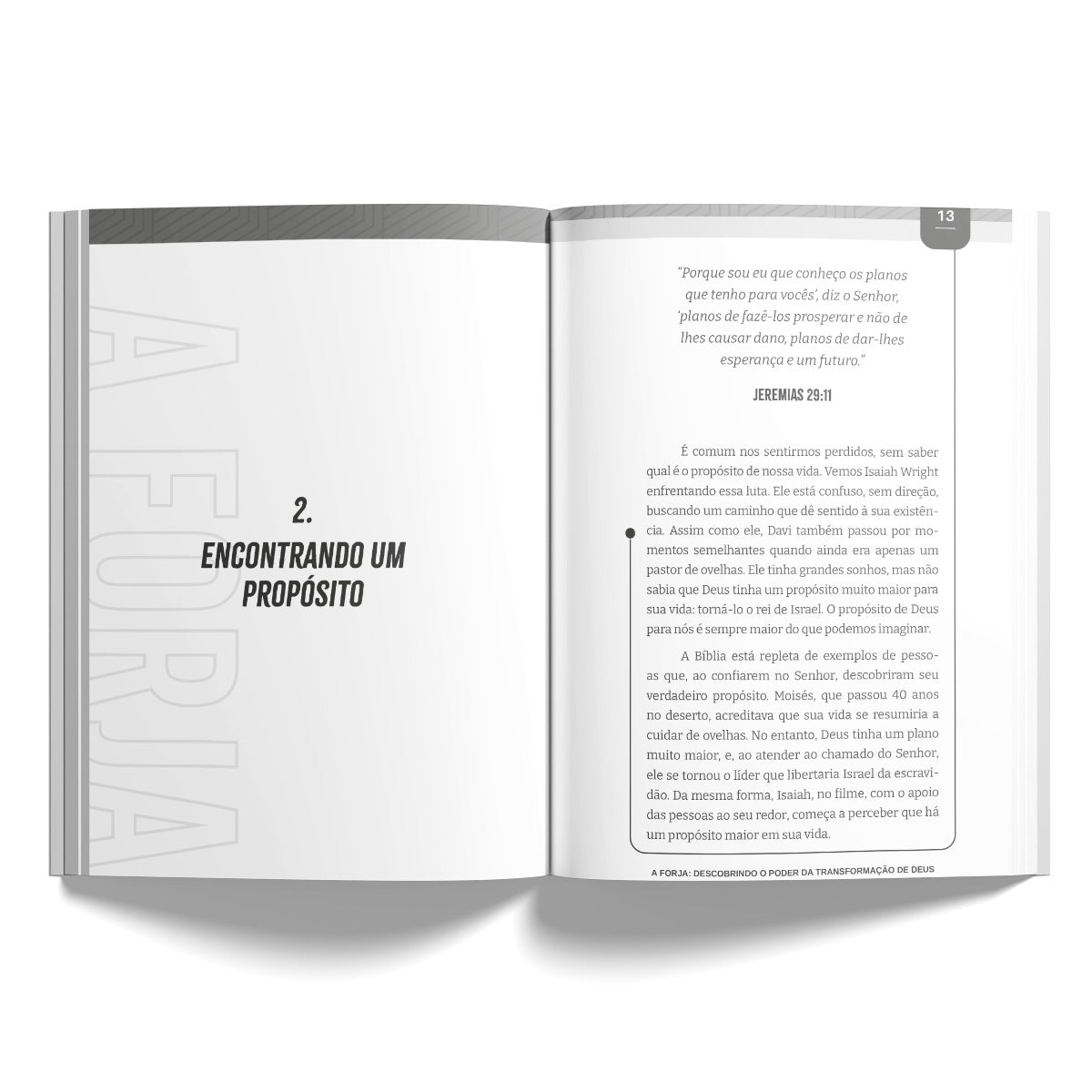 Devocional a Forja | Isabelle S. Alves