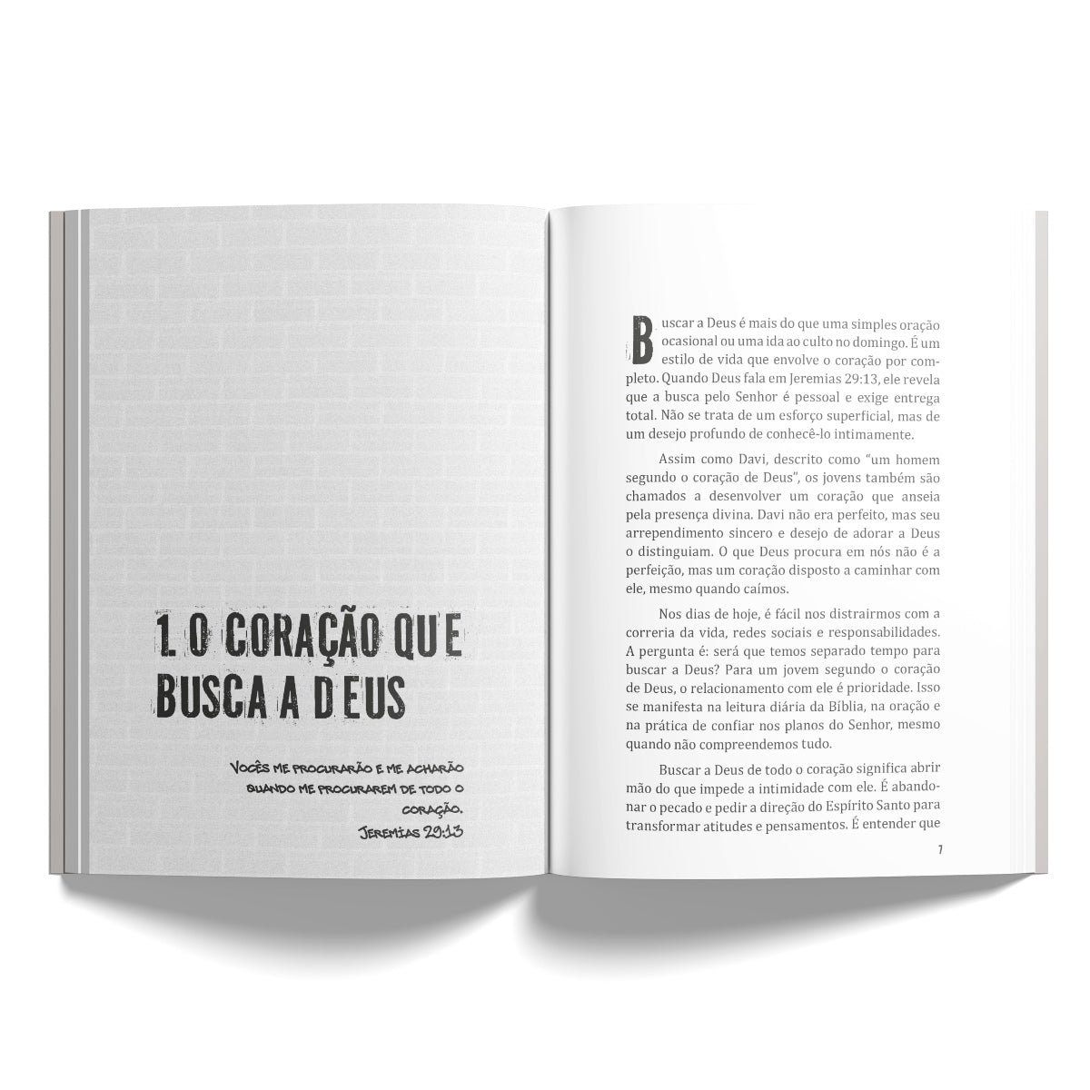 Devocional Um Jovem Segundo o Coração de Deus: Crescendo em Fé, Propósito e Intimidade em Deus
