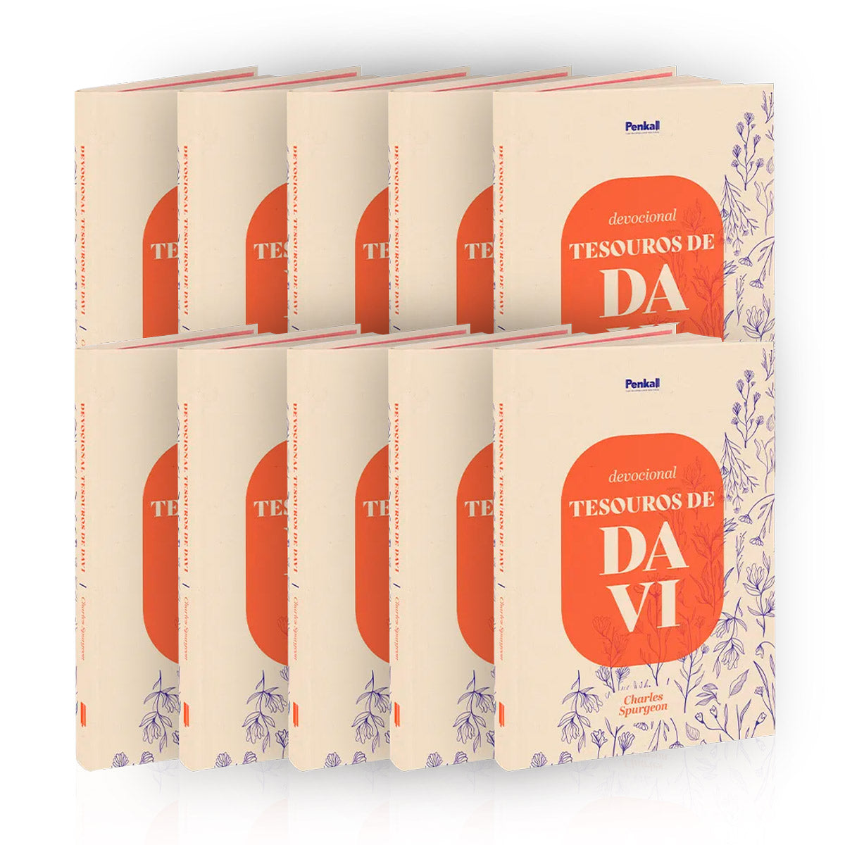 Kit 10 Devocional |  Tesouros De Davi | Por Do Sol