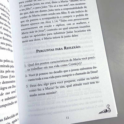 Kit 10 Livros | 40 Dias com Mulheres que Tocaram o Coração de Deus | Isabelle S. Alves