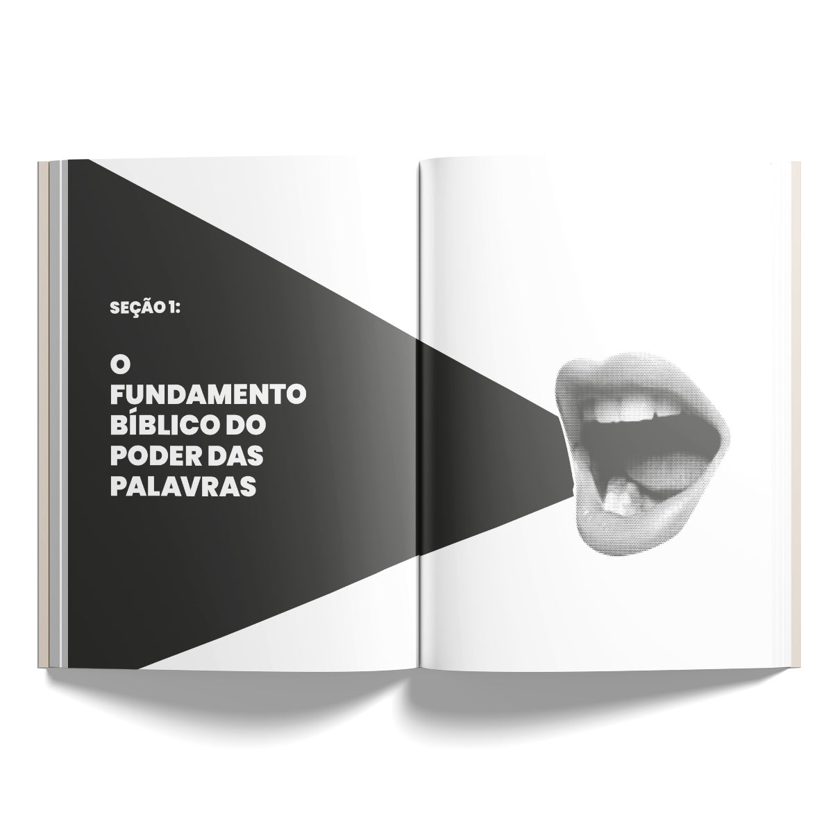 Kit 10 livros - Fale Vida | O futuro que Você Profetiza Começa na sua Boca - Charles N.S