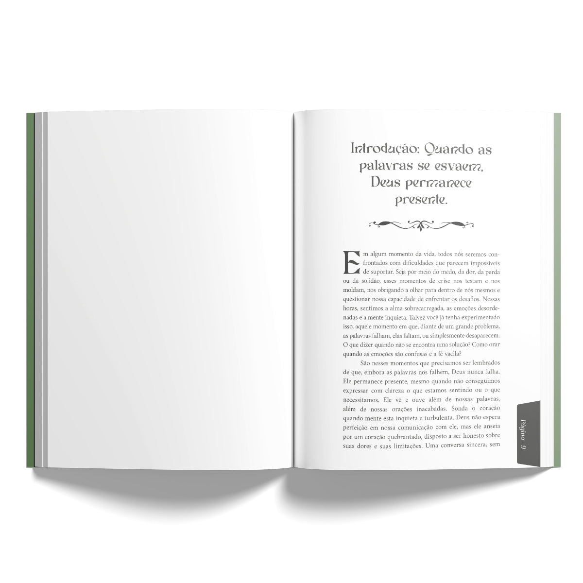 Kit 10 livros - Transformando Dificuldades em Vitórias pela Força da Oração - Ana Clara Souza