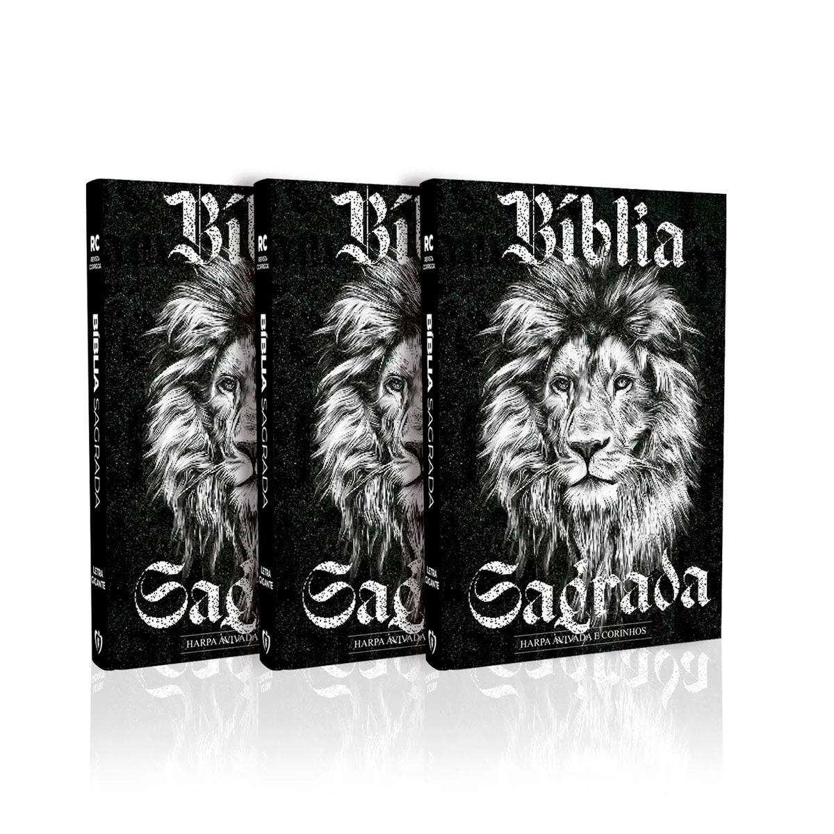 Kit 3 Biblias Gigante | ARC | PPM | Harpa e Corinhos | Preto e Branco
