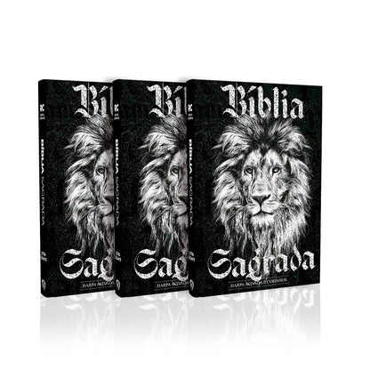 Kit 3 Biblias Gigante | ARC | PPM | Harpa e Corinhos | Preto e Branco