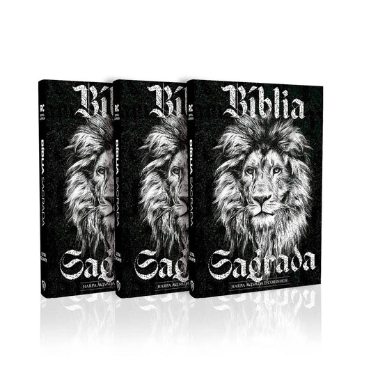 Kit 3 Biblias Gigante | ARC | PPM | Harpa e Corinhos | Preto e Branco
