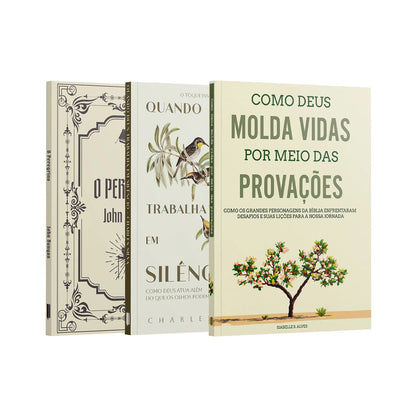 Kit 3 Livros - Desafio da Fé | O Peregrino + Quando Deus Trabalha em Silêncio + Como Deus Molda Vidas