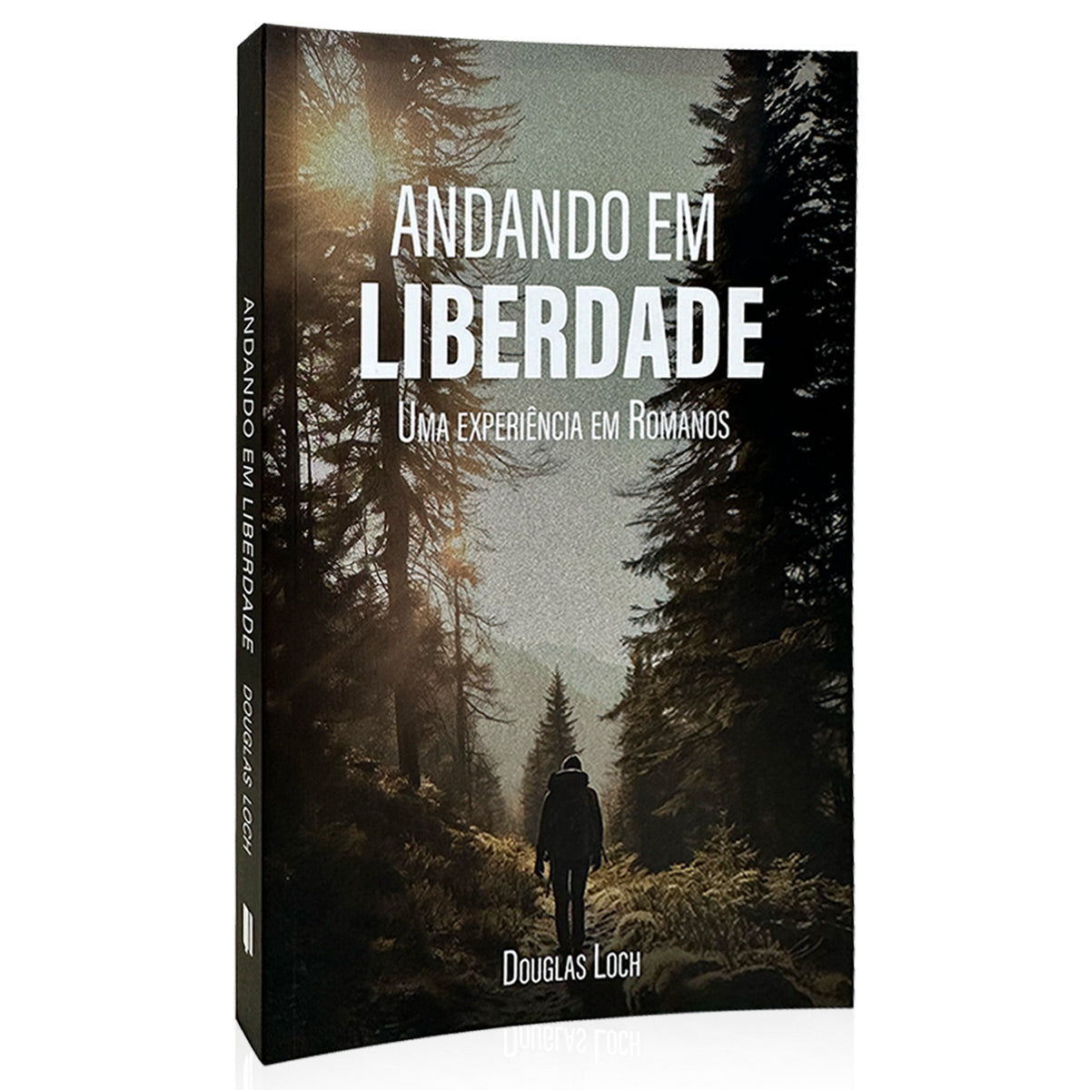 Kit 4 livros - Estudando Romanos