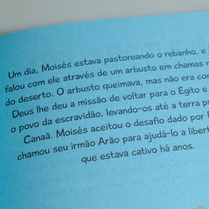 Kit 5 Bíblias Infantil | Bichos na Arca