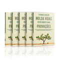 Kit 5 Livros - Como Deus molda vidas por meio das provações | Isabelle S. Alves