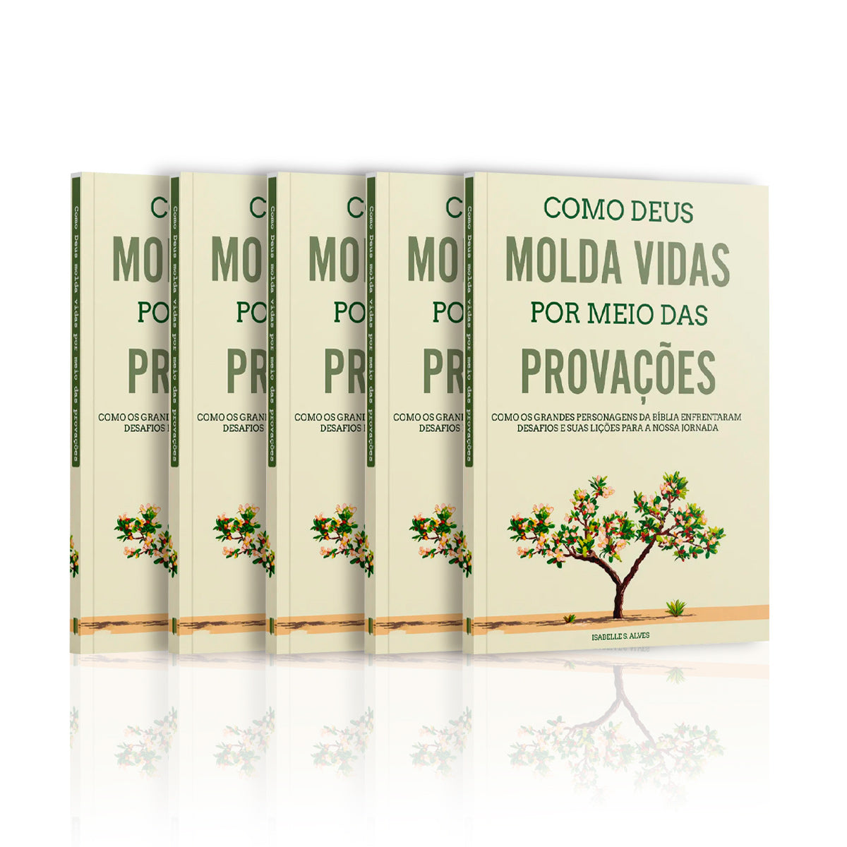 Kit 5 Livros - Como Deus molda vidas por meio das provações | Isabelle S. Alves