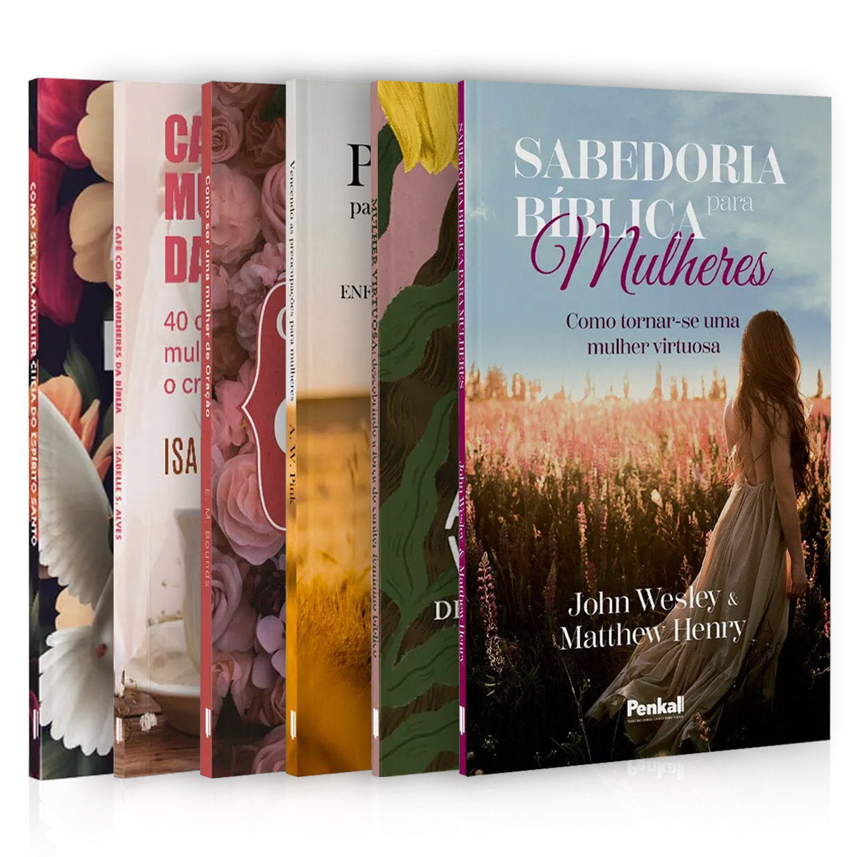 Kit 6 Livros -  Como ser uma Mulher Segundo o coração de Deus