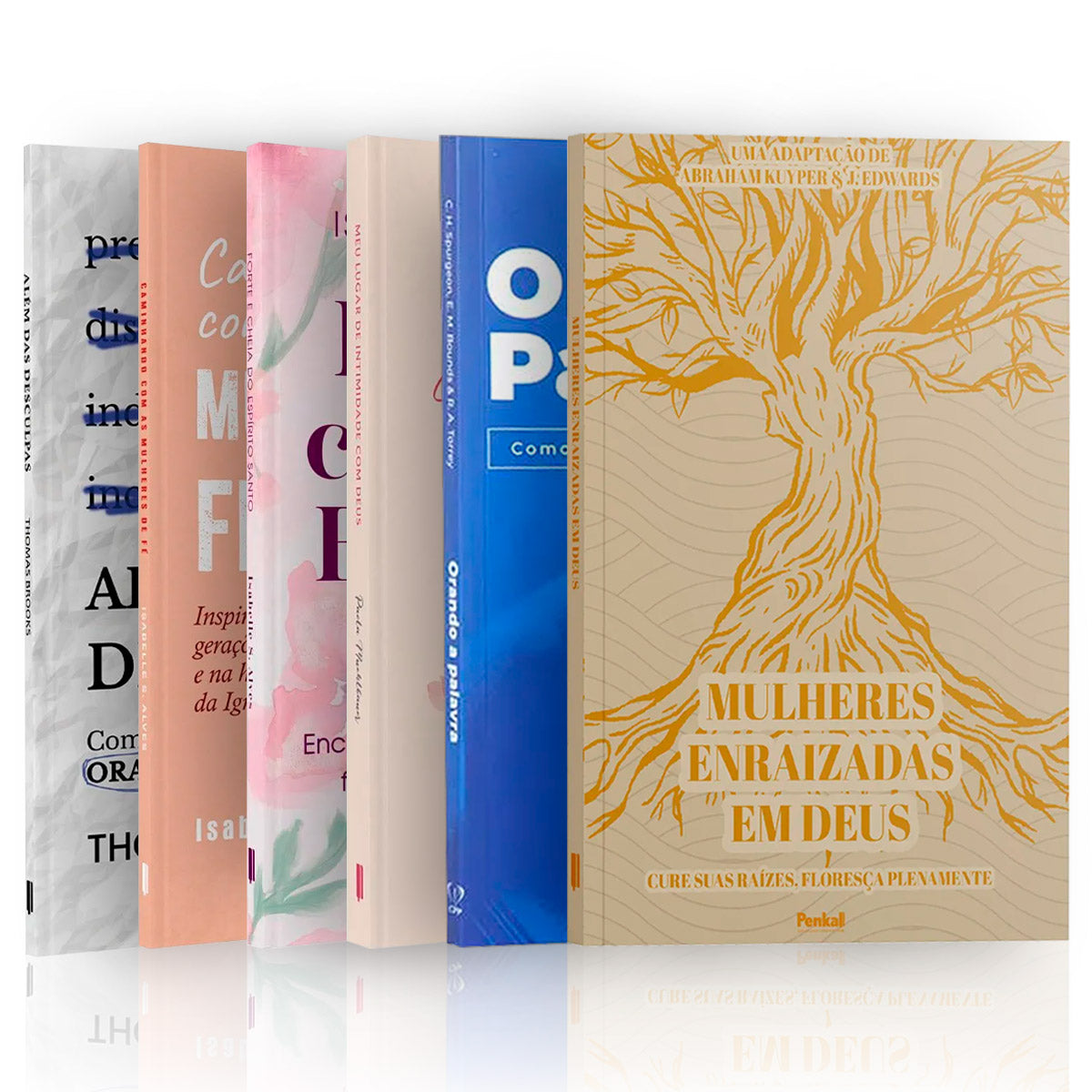 Kit 6 Livros Mulheres Enraizadas no Espírito: Caminhando em Poder e Autoridade
