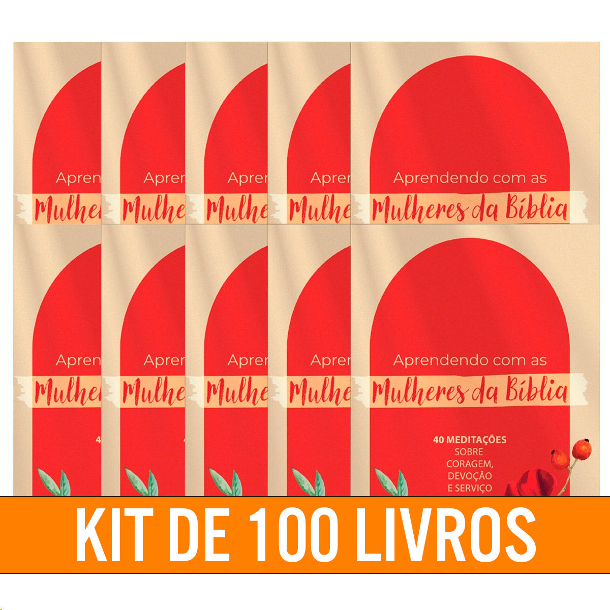Kit de Evangelismo - 100 livros Palavras de Vida -Lições de Fé das Mulheres da Bíblia