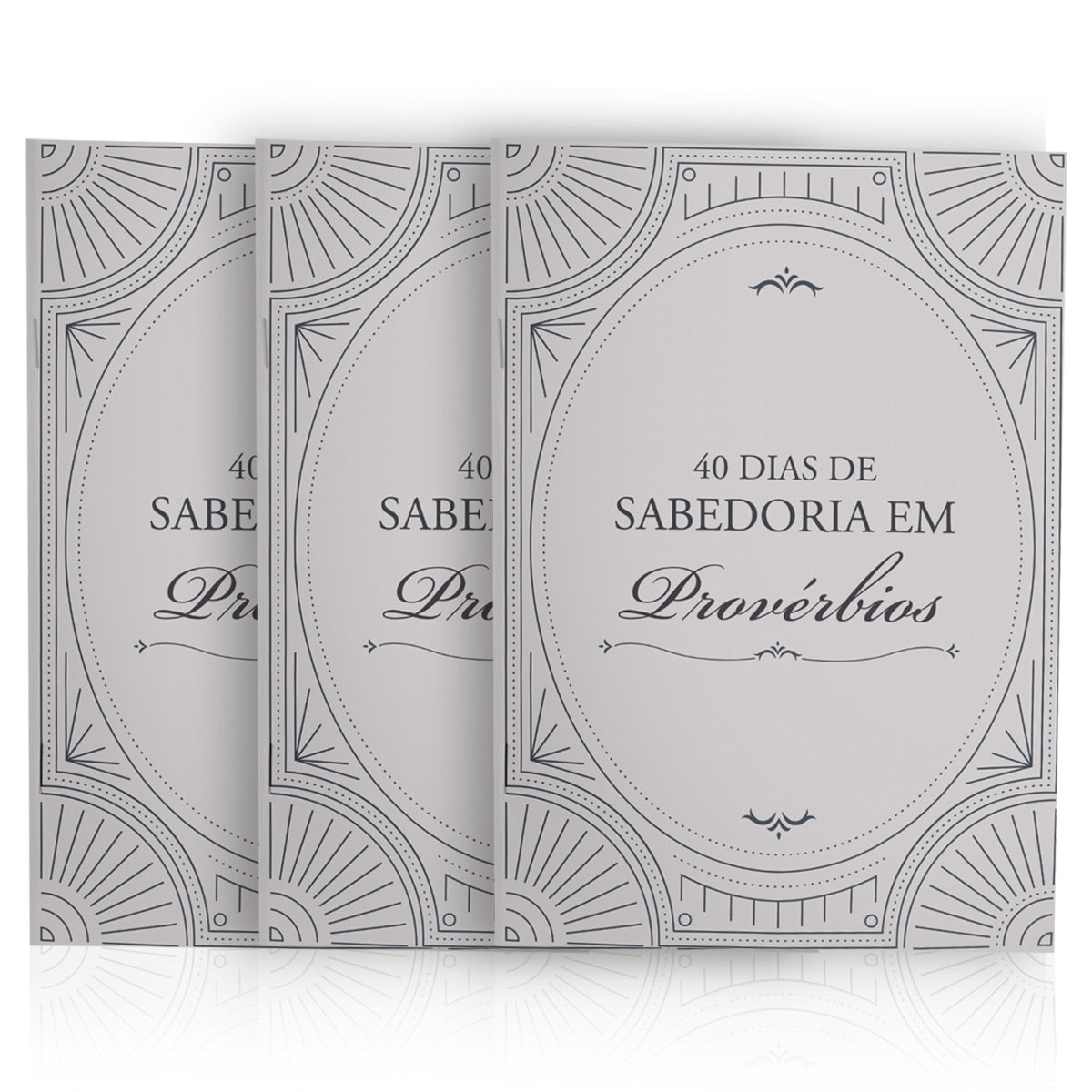 Kit de Evangelismo - 3 livros Palavras de Vida - 40 dias de Sabedoria em Provérbios