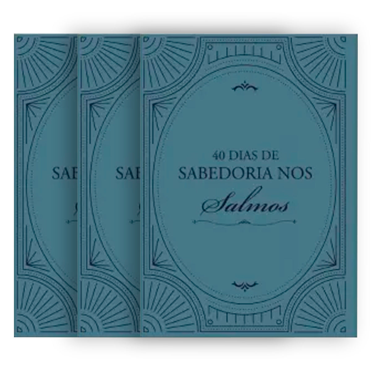 Kit de Evangelismo - 3 livros Palavras de Vida - 40 dias de Sabedoria em Salmos